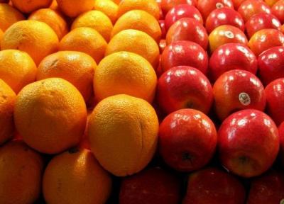 سال جاری در فراوری محصولات سیب، پرتقال، زعفران و پسته مازاد فراوری داریم