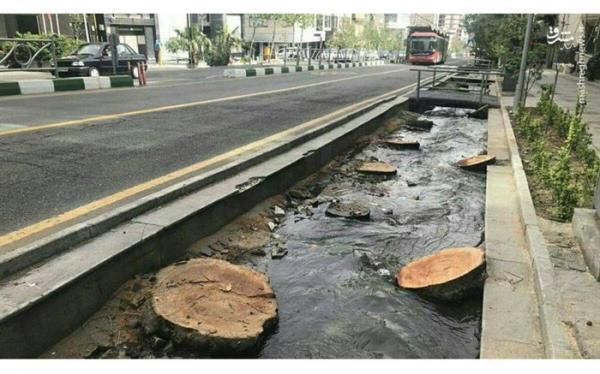 تبدیل خیابان ولیعصر به پیاده راه برای حفظ درختان آن