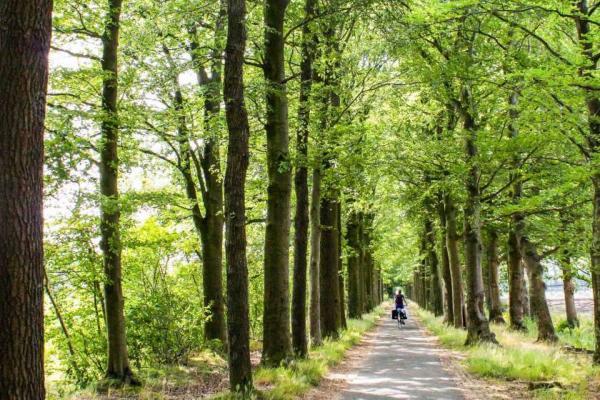 تور هلند: سفری 400 کیلومتری با دوچرخه به اعماق طبیعت هلند