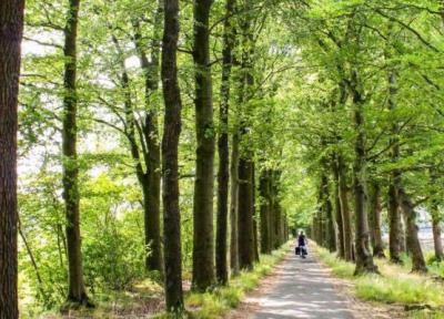 تور هلند: سفری 400 کیلومتری با دوچرخه به اعماق طبیعت هلند