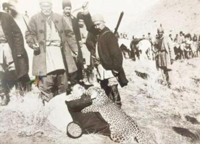 عکس های کمتر دیده شده از شکار پلنگ به وسیله ناصرالدین شاه و مظفرالدین شاه